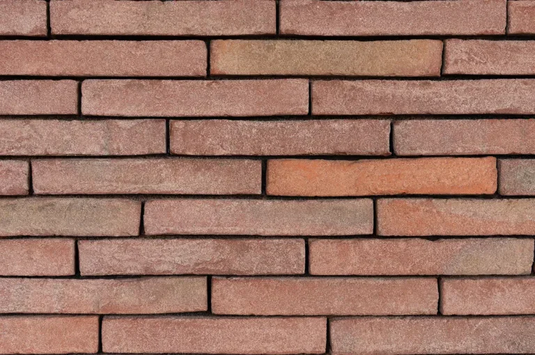 linea 3011 thin joint